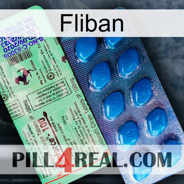 Fliban new02.jpg